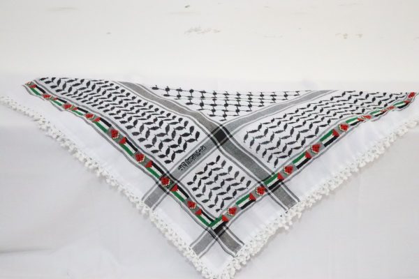 جلد شمواة وتطريز يدوي